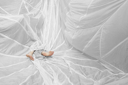 shape of things 027 - a Photographic Art Artowrk by LYNNE ROBERTS-GOODWIN